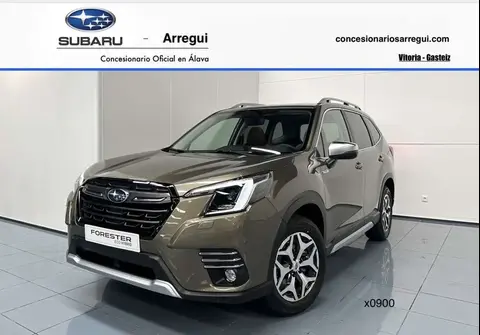 Used SUBARU FORESTER Hybrid 2024 Ad 