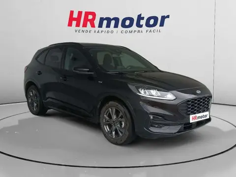 Used FORD KUGA Petrol 2022 Ad 