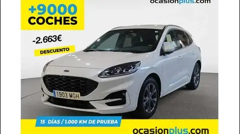 Annonce FORD KUGA Hybride 2023 d'occasion 