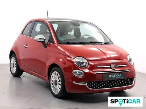 Used FIAT 500 Petrol 2019 Ad 