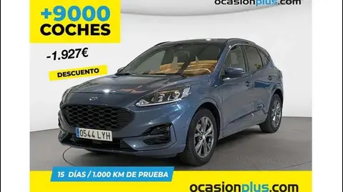 Used FORD KUGA Petrol 2022 Ad 