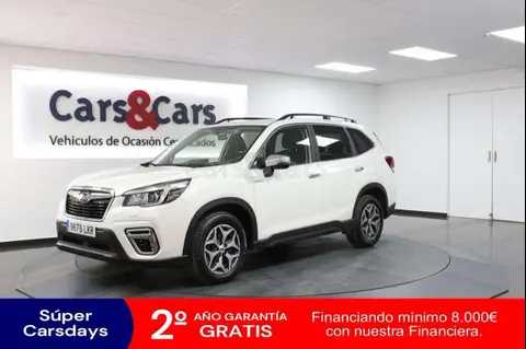 Used SUBARU FORESTER Hybrid 2020 Ad 