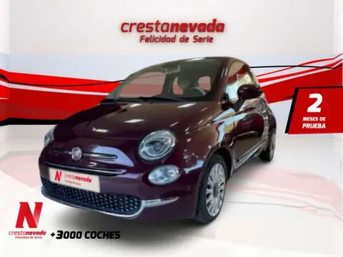 Used FIAT 500 Petrol 2019 Ad 