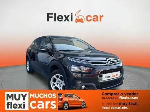 Used CITROEN C4 Petrol 2019 Ad 