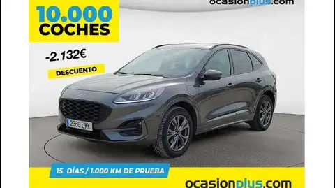 Used FORD KUGA Hybrid 2022 Ad 