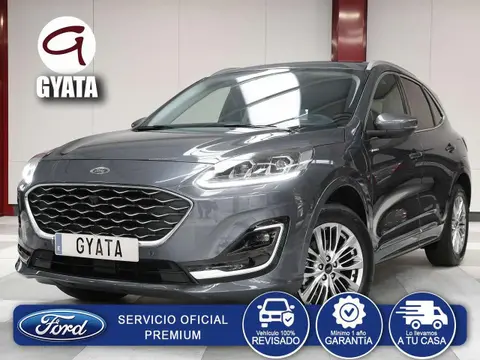 Annonce FORD KUGA Hybride 2023 d'occasion 