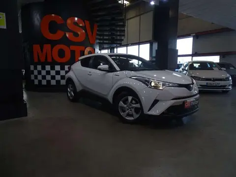 Used TOYOTA C-HR Hybrid 2019 Ad 