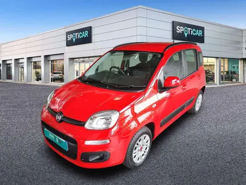 Used FIAT PANDA Petrol 2019 Ad 