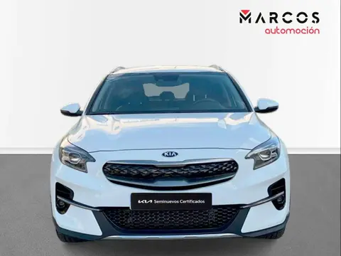 Used KIA XCEED  2022 Ad 