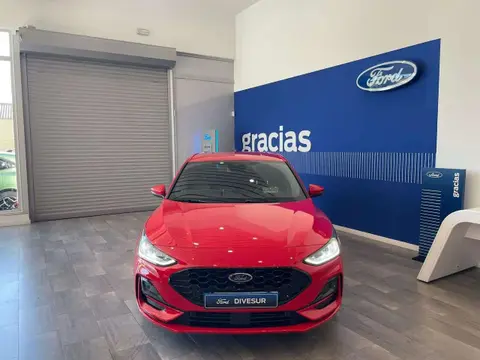 Annonce FORD FOCUS  2024 d'occasion 