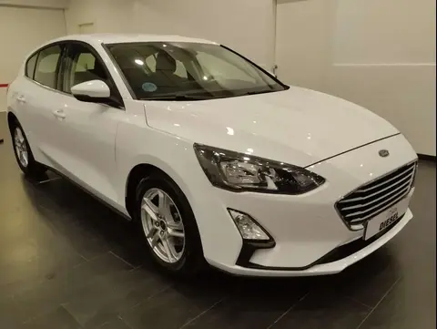 Annonce FORD FOCUS Diesel 2020 d'occasion 