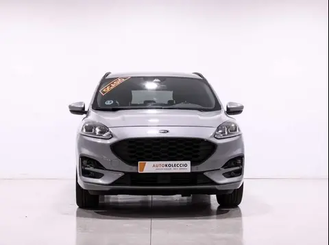 Used FORD KUGA Petrol 2021 Ad 