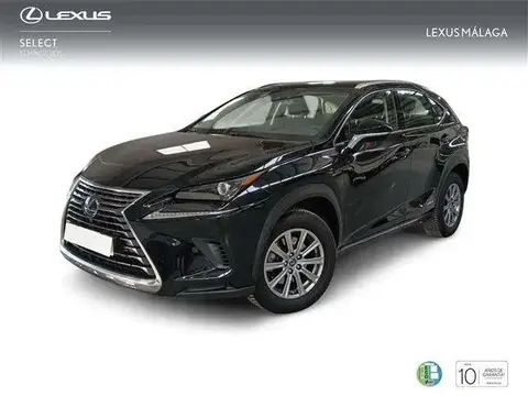 Used LEXUS NX Hybrid 2020 Ad 