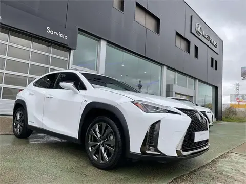 Used LEXUS UX Hybrid 2019 Ad 