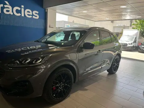 Annonce FORD KUGA  2022 d'occasion 