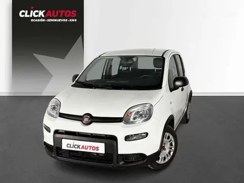 Used FIAT PANDA Hybrid 2024 Ad 