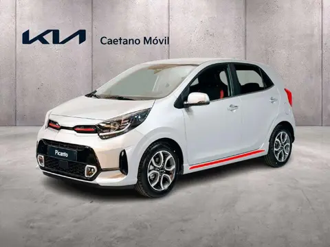 Used KIA PICANTO Petrol 2023 Ad 