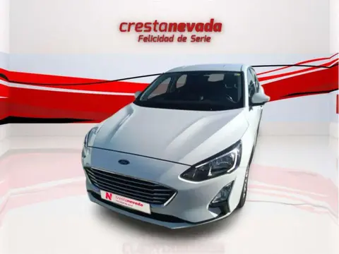 Used FORD FOCUS Diesel 2020 Ad 