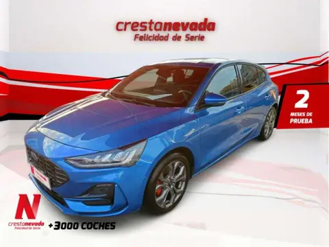 Used FORD FOCUS Hybrid 2022 Ad 