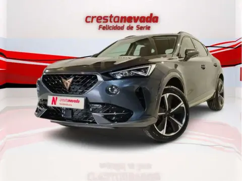 Used CUPRA FORMENTOR Petrol 2024 Ad 