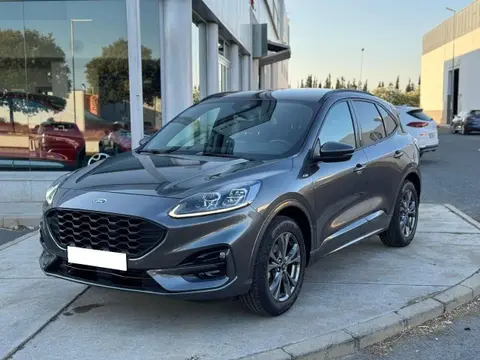 Annonce FORD KUGA Essence 2020 d'occasion 