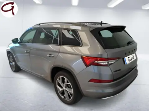 Used SKODA KODIAQ Diesel 2022 Ad 