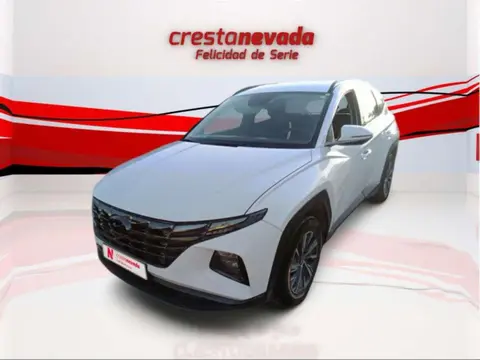 Used HYUNDAI TUCSON Hybrid 2021 Ad 