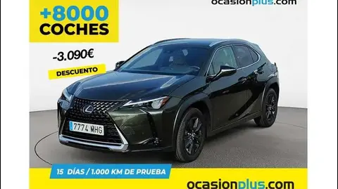 Used LEXUS UX  2023 Ad 