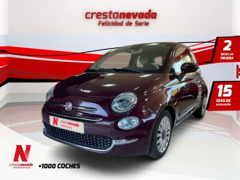 Used FIAT 500 Petrol 2019 Ad 