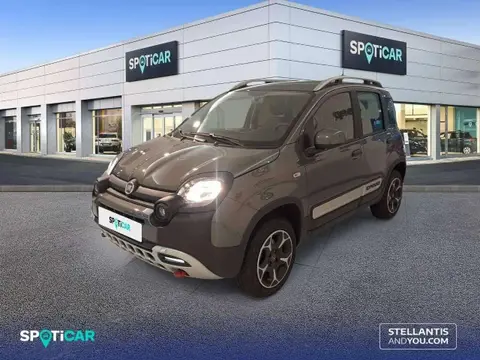 Used FIAT PANDA Petrol 2024 Ad 