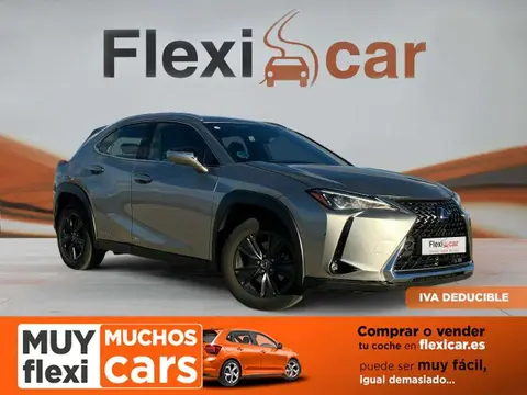 Annonce LEXUS UX Hybride 2022 d'occasion 