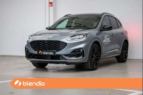 Annonce FORD KUGA Essence 2022 d'occasion 