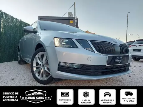 Annonce SKODA OCTAVIA Diesel 2019 d'occasion 