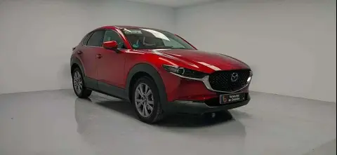 Annonce MAZDA CX-30 Essence 2020 d'occasion 