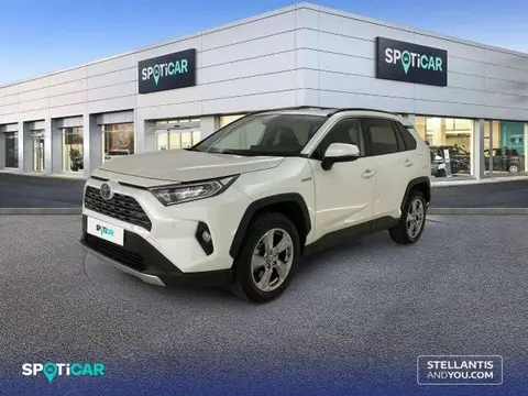 Used TOYOTA RAV4 Hybrid 2020 Ad 