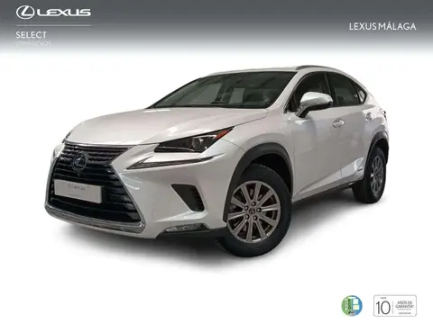 Used LEXUS NX Hybrid 2019 Ad 