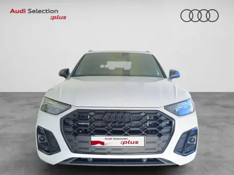 Used AUDI Q5 Hybrid 2023 Ad 