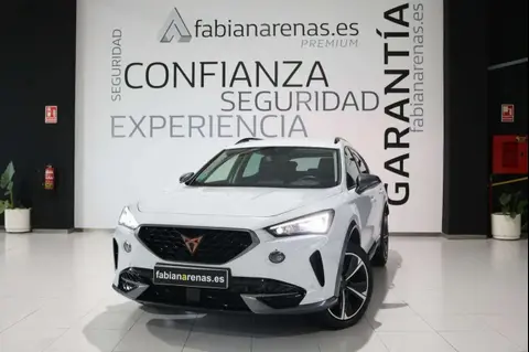 Used CUPRA FORMENTOR Petrol 2023 Ad 