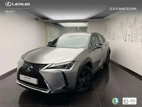 Used LEXUS UX Hybrid 2020 Ad 