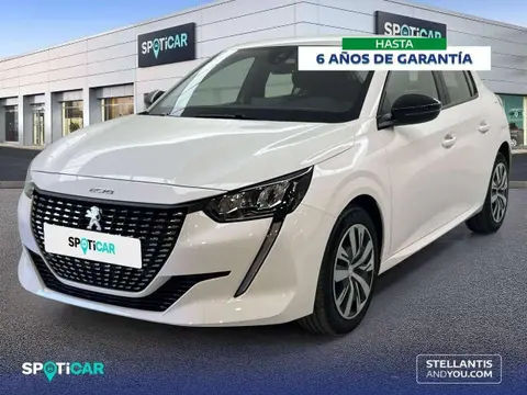 Used PEUGEOT 208 Petrol 2023 Ad 