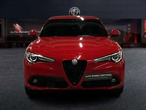 Annonce ALFA ROMEO STELVIO Diesel 2021 d'occasion 