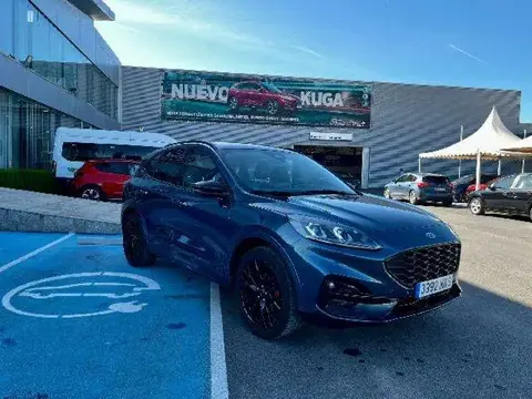 Annonce FORD KUGA Essence 2023 d'occasion 