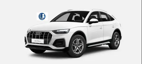 Used AUDI Q5 Hybrid 2024 Ad 