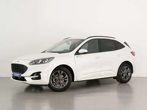 Annonce FORD KUGA Hybride 2023 d'occasion 