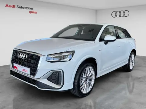 Annonce AUDI Q2 Essence 2024 d'occasion 