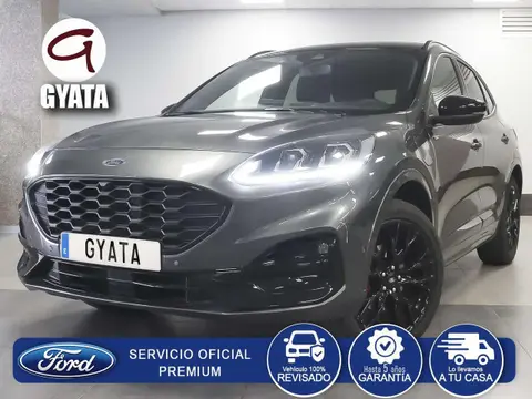 Used FORD KUGA Hybrid 2023 Ad 