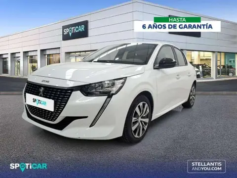 Used PEUGEOT 208 Petrol 2023 Ad 