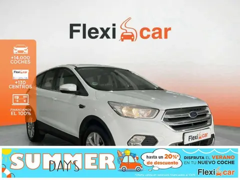 Used FORD KUGA Petrol 2019 Ad 