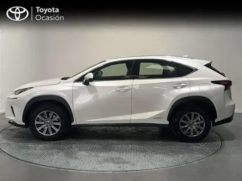 Annonce LEXUS NX Hybride 2019 d'occasion 