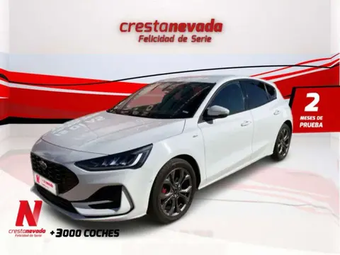 Annonce FORD FOCUS Hybride 2022 d'occasion 